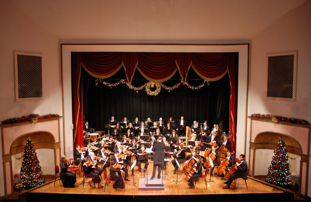 Photo of the stage of the Ariel-Ann Carson Dater Performing Arts Centre